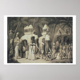 Poster Éléphants du rajah de Travandrum, de 'voyage