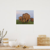 Poster Éléphants indiens dans la prairie (Cuisine)