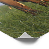 Poster Eléphants indiens dans la prairie, Corbett (Coin)