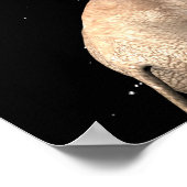 Poster Elephants Make Full Moon (Coin)