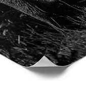 POSTER ÉLÉPHANTS MÈRE ET BÉBÉ - NOIR ET BLANC (Coin)