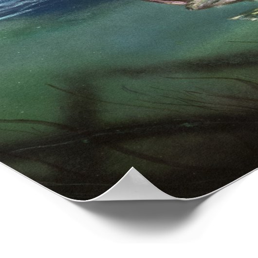 Poster Éleuré Dans La Pêche Basse À Grosse Bouche (Coin)