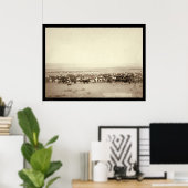 Poster élevage de bovins à Moss Agate SD 1887 (Bureau à domicile)