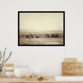 Poster élevage de bovins à Moss Agate SD 1887 (Cuisine)