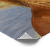 Poster Élevage de chevaux miniatures (Coin)