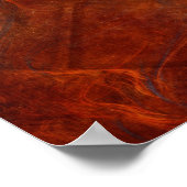 Poster élévation du phoenix (Coin)