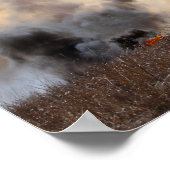 Poster Éleveur de bétail du Kansas lançant un incendie co (Coin)