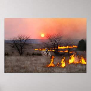 Poster Éleveur du Kansas inspectant une ligne de feu