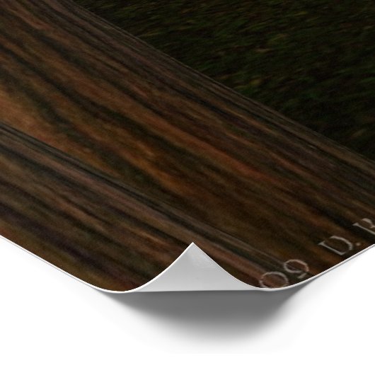 Poster Elf Guardian (Coin)