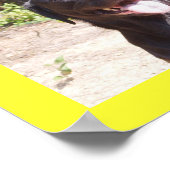 Poster Elise 2006 (Coin)