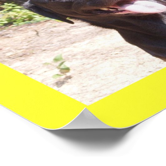 Poster Elise 2006 (Coin)