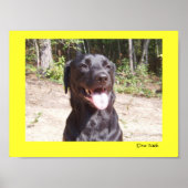 Poster Elise 2006 (Devant)