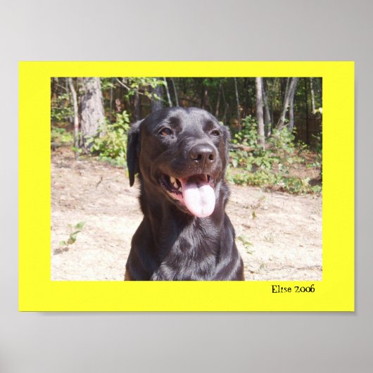 Poster Elise 2006 (Devant)