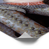 Poster Elizabeth, reine d'hiver de Bohême (Coin)