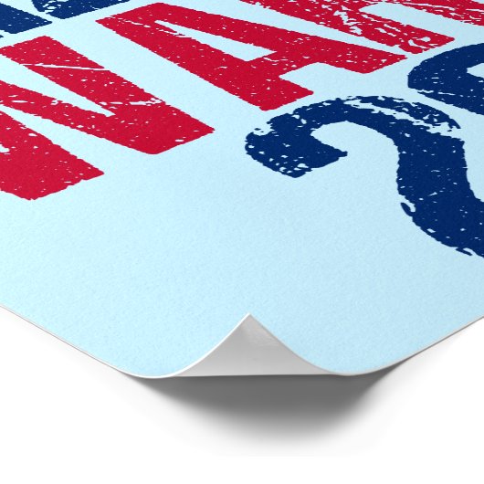 Poster Elizabeth Warren 2020 (Coin)