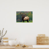 Poster Elk 19x13 (Cuisine)