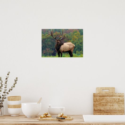 Poster Elk 19x13 (Cuisine)