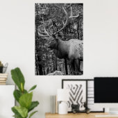 Poster Elk Black White Photo Moderne Cabine Rustique (Bureau à domicile)