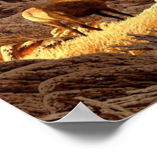 Poster Elk Bull (Coin)