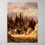 Poster Elk Bull (Devant)