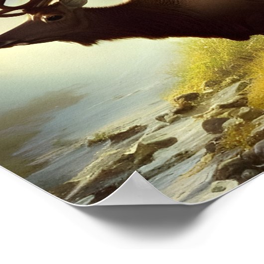 Poster Elk By A Forest Stream Art numérique Imprimer (Coin)