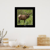 Poster Elk canadien (Wapiti) dans le parc national Jasper (Cuisine)