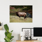 Poster Elk dans le désert (Bureau à domicile)