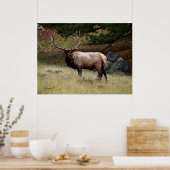 Poster Elk dans le désert (Cuisine)