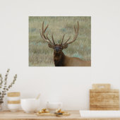 Poster Elk de taureau E10 en Tête de velours (Cuisine)