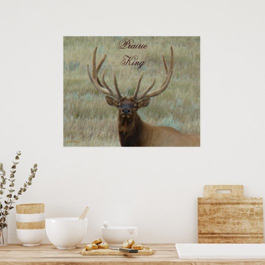 Poster Elk de taureau E10 en Tête de velours (Cuisine)