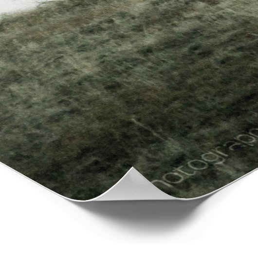 Poster Elk P2799 Imprimer (Coin)