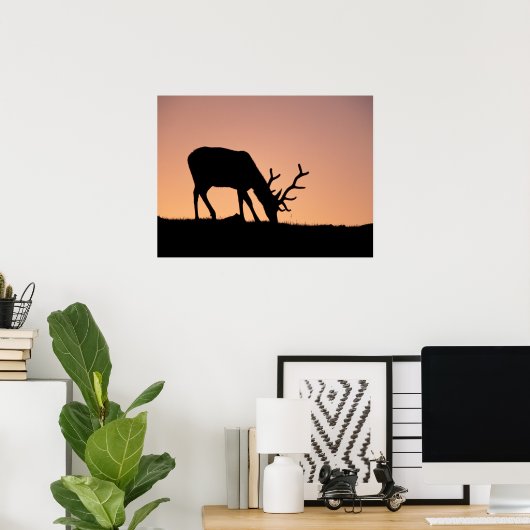 Poster Elk | Parc national des Rocheuses, Colorado (Bureau à domicile)