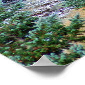 Poster Elk stoïque (Coin)