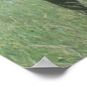 Poster Elk taureau E56 en velours (Coin)