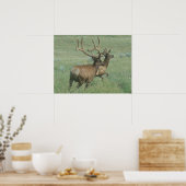 Poster Elk taureau E56 en velours (Cuisine)
