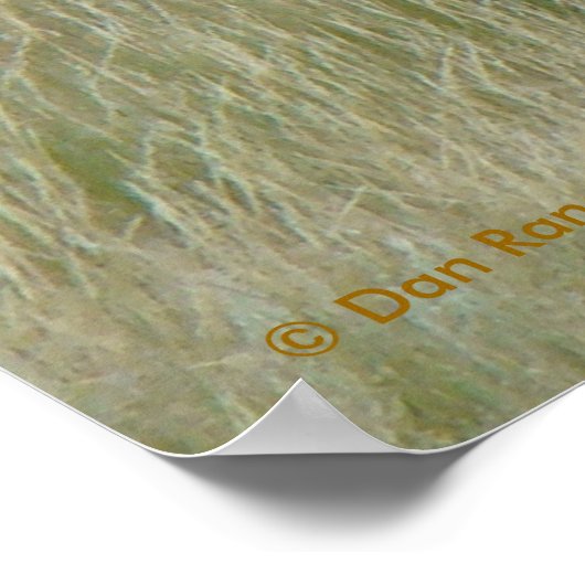 Poster Elk taureau E8 en velours (Coin)