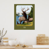 Poster Elk Wapiti (Cuisine)