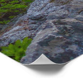 Poster Ella Falls dans le parc national de Sequoia (Coin)