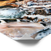 Poster Elle Vend Des Coques De Mer (Coin)