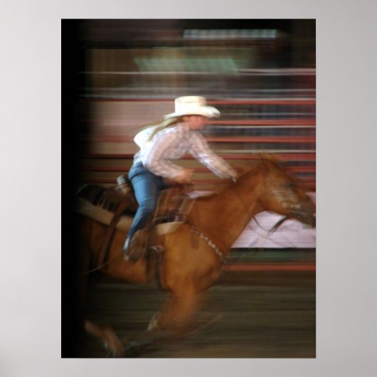 Poster Elle vole (Devant)