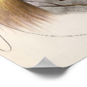 Poster Elliot - Paradisea apoda - Grand Oiseau Du Paradis (Coin)