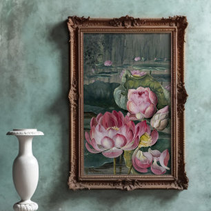 Poster Ellis Rowan Sacré Lotus Eau Lily Fleur Vintage