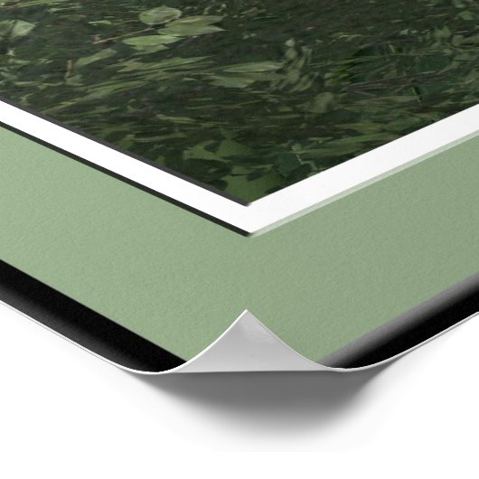 Poster Ellostath Fell (Coin)