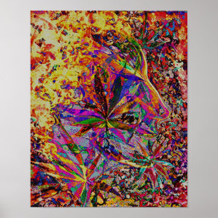 Poster Elly