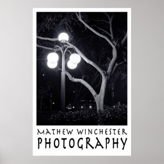 Poster Elm et Lamppost