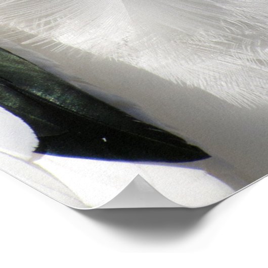 Poster Elvis - Bois Stork (Coin)