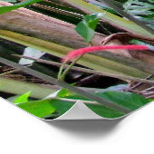 Poster Elvis Presley Bungalow (Coin)