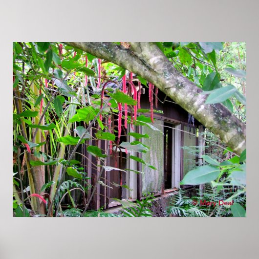 Poster Elvis Presley Bungalow (Devant)