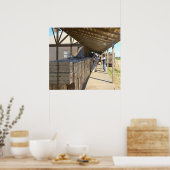 Poster Emballage Pour Oranges D'Expédition Ontario CA 191 (Cuisine)