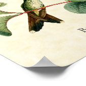 Poster Embarcadère en raquette Boîchet Hummingbirds (Coin)